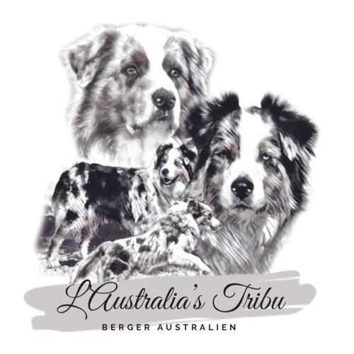 de L' Australia's Tribu