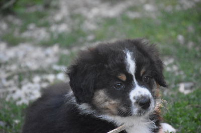 ABBY